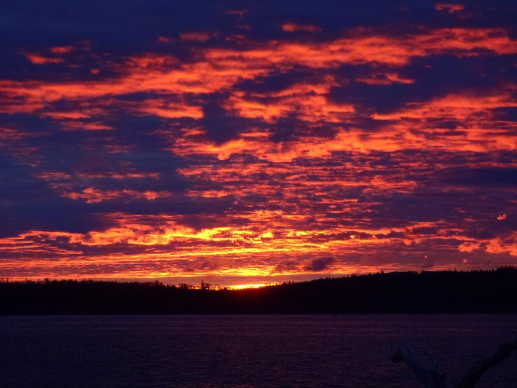 Bed and Breakfast Seawatch Bed & Breakfast Halifax Exteriér fotografie